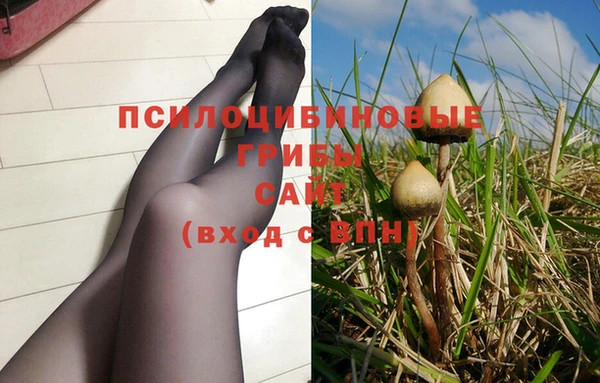 метадон Зеленодольск