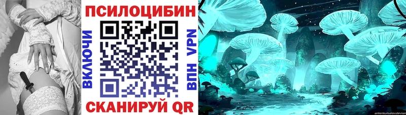 Купить  Добрянка  Псилоцибиновые грибы Psilocybe 
